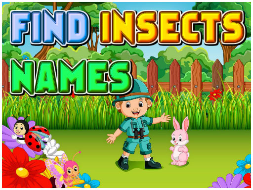 Find Insects Names